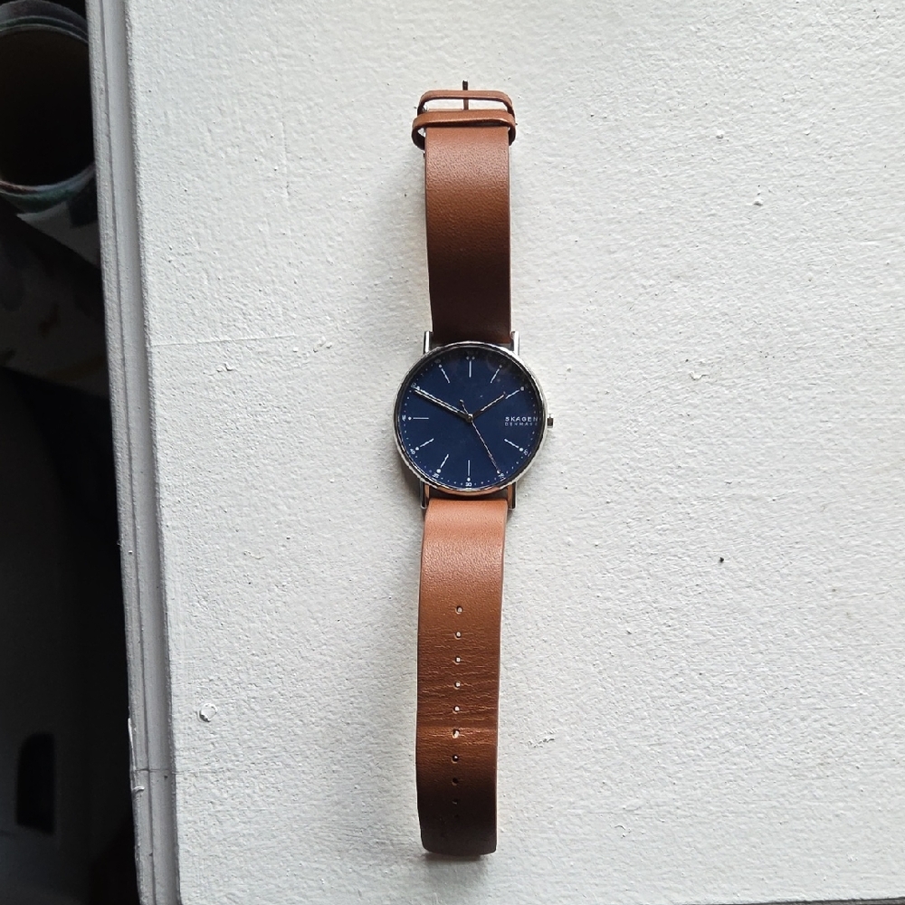 Skagen Brown and Blue Men's Watch